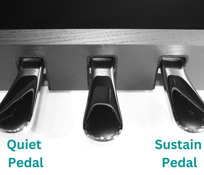 How Many Pedals Does A Piano Have (& What Do They Do?)